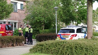 Steekincident aan de Plevier_2