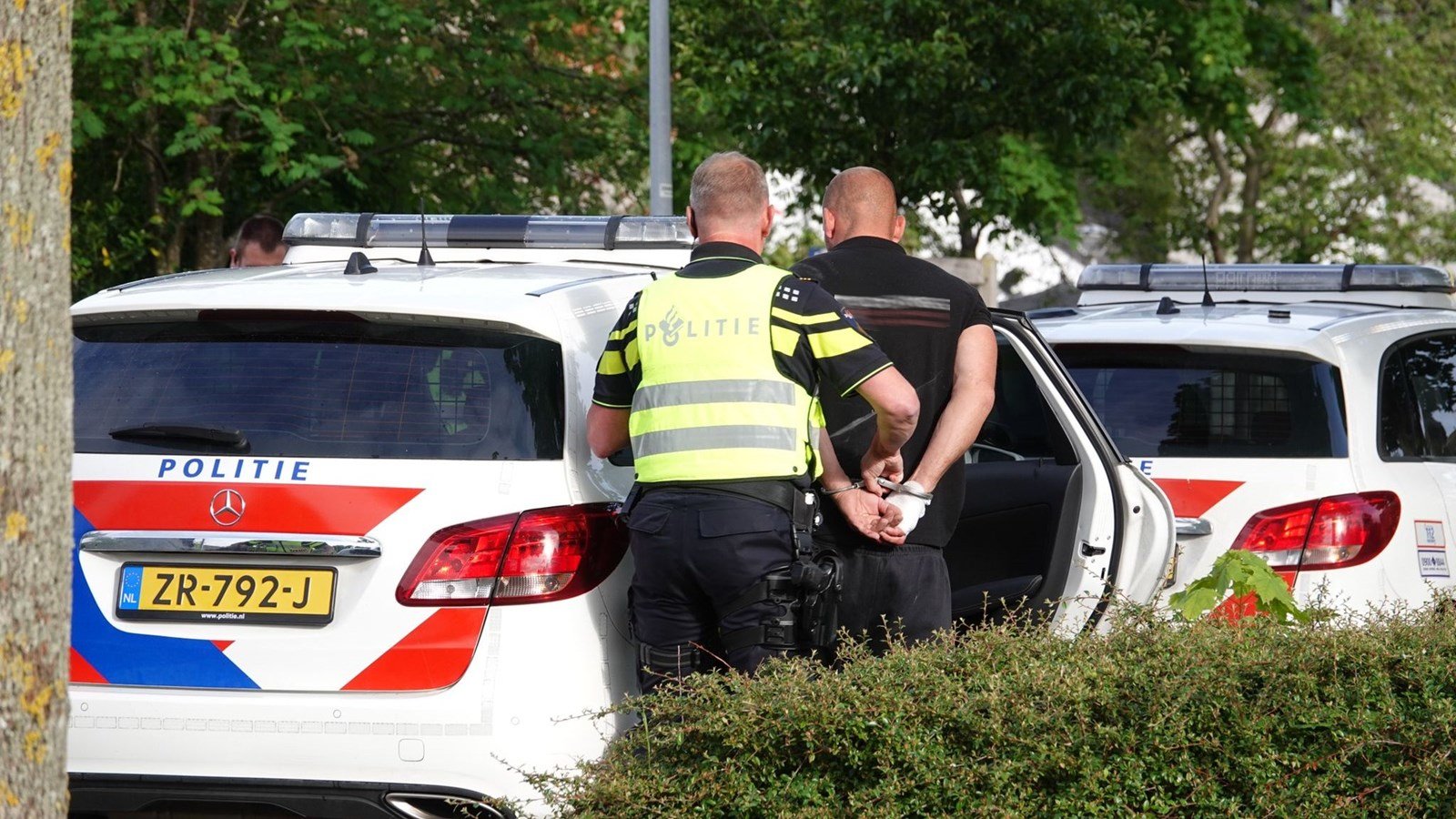 Steekincident aan de Plevier