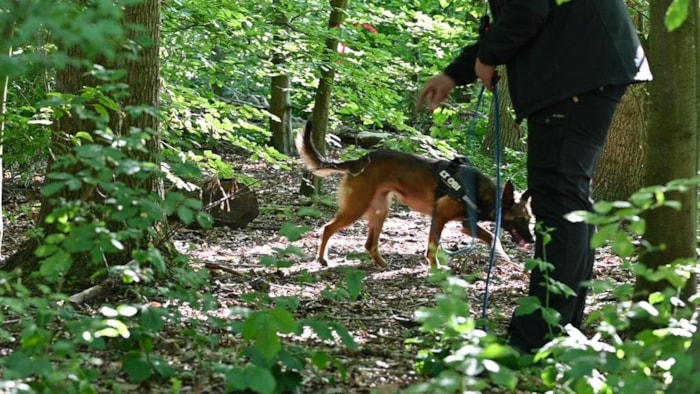 Zoekactie naar Sumanta Bansi_2