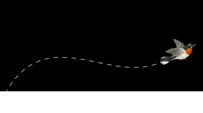 Queer Art Productions