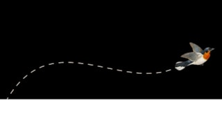 Queer Art Productions