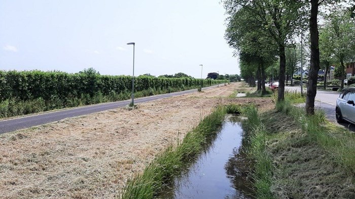 Rijweg in Zwaag