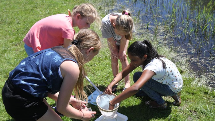 waterdiertjes.nl (4)