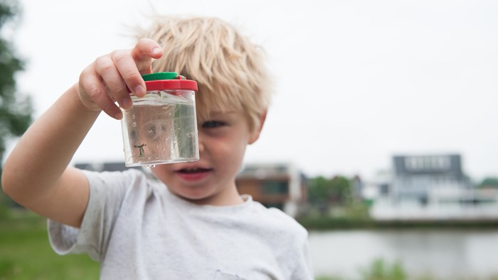 waterdiertjes.nl (6)