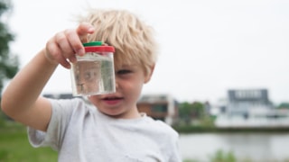 waterdiertjes.nl (6)