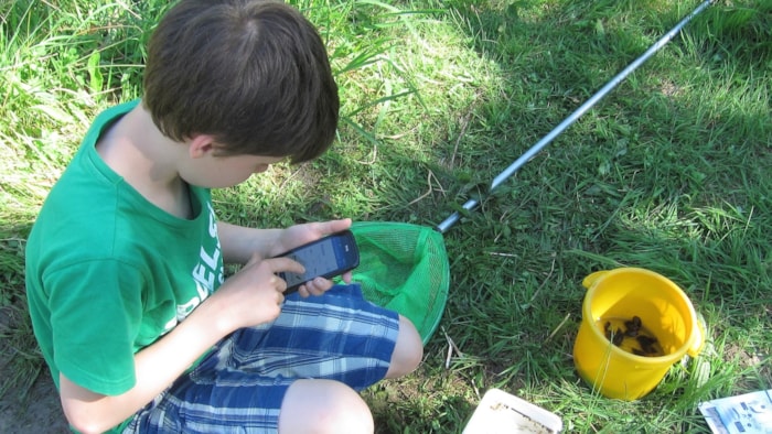 waterdiertjes_website.nl