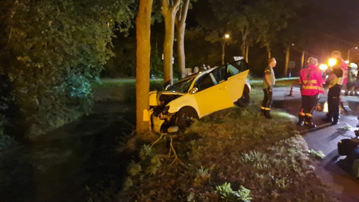 Auto in Wognum tegen een boom