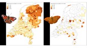 Regionale verschillen