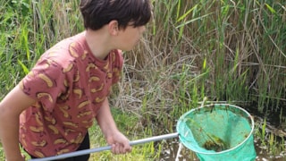 RietkreekSafari-2- MAKBlokweer