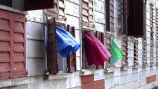 Foto Susanne P. Dekkers voor bij persbericht