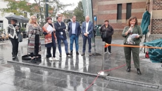 De Hoornse Straatjes Annet Kwantes