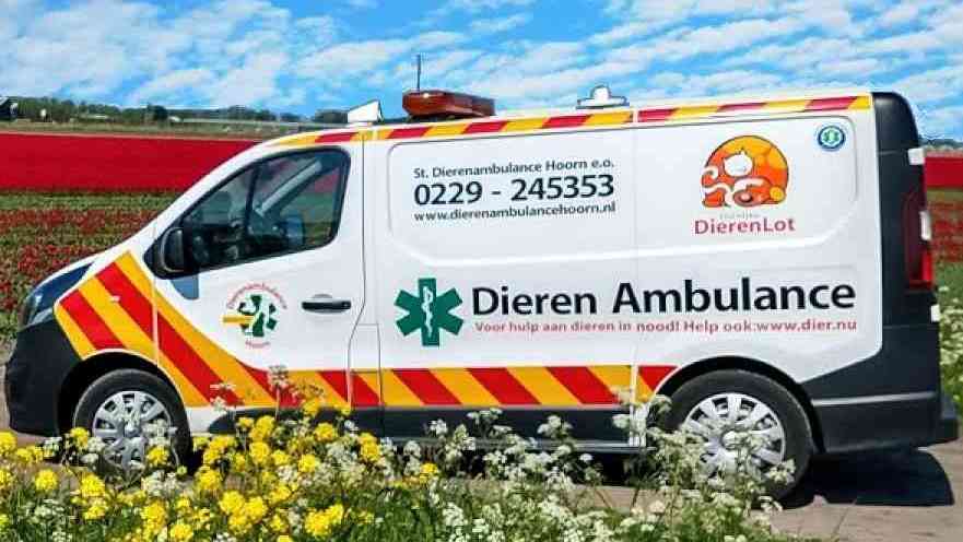 Vraag aan B&W naar geschikte ruimte voor opvang van zwerfdieren 