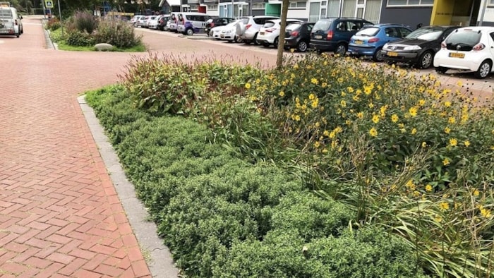 Voorbeeld wateropname