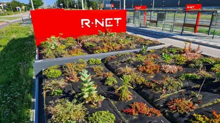 Bushokjes met groene daken