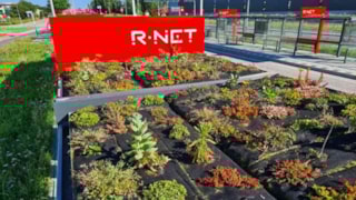 Bushokjes met groene daken