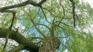 Natuurpark Blokweer-foto Mieke Brouwer