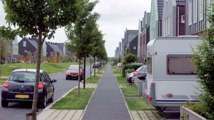 Bomen in de Bangert-Oosterpolder (foto uit Bomenbeleidsplan Hoorn 2009)