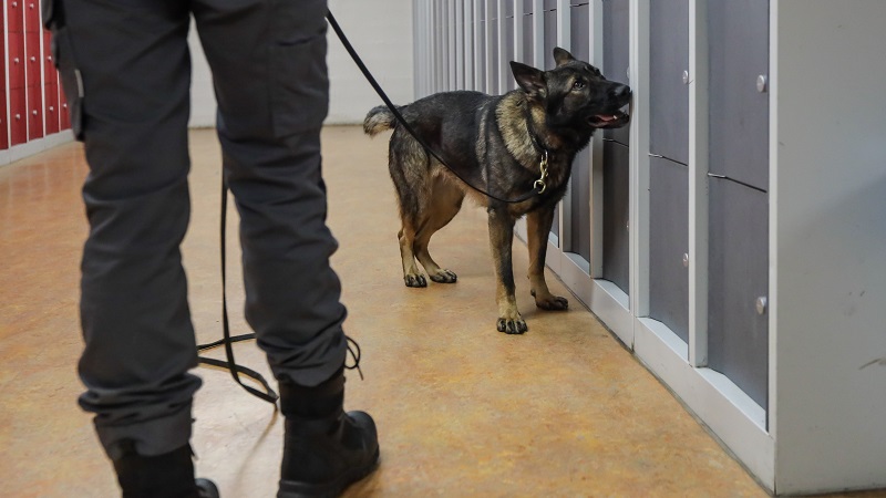 Kluisjescontrole drie scholen in Hoorn