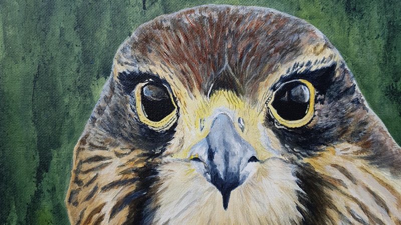 Expositie: 'Dieren in Potlood en kwast' bij Hertenkamp Enkhuizen