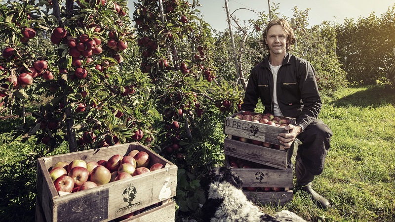 Biologische appels redden voor 1 euro per kilo