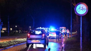 Weer aanrijding op zebrapad kruissing Maasweg-IJsselweg