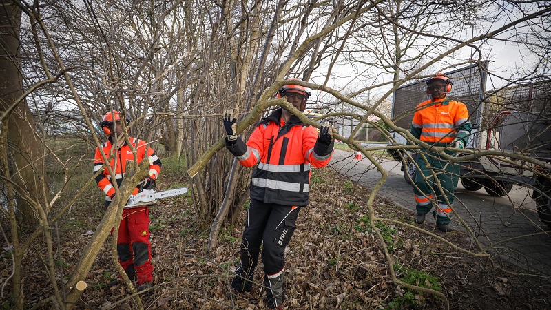 Uitgebreide snoeiwerkzaamheden in heel Hoorn