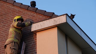 Brandweer redt kat uit dakgoot