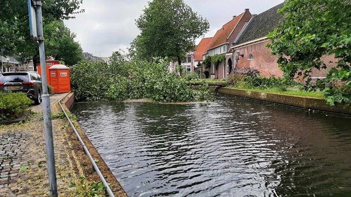 Boom omgewaaid Onder de Boompjes B