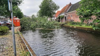 Boom omgewaaid Onder de Boompjes B