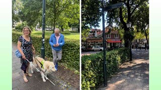 Verplaatste paal voor en na