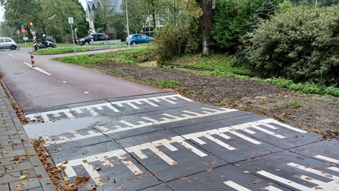 Fietsstraat Westerblokker C