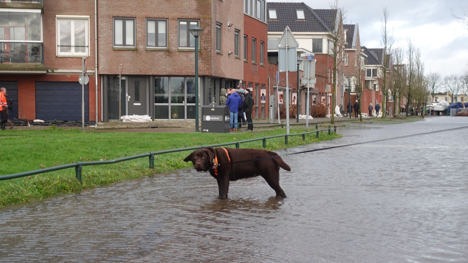 Foto-impressie hoog water op het Visserseiland