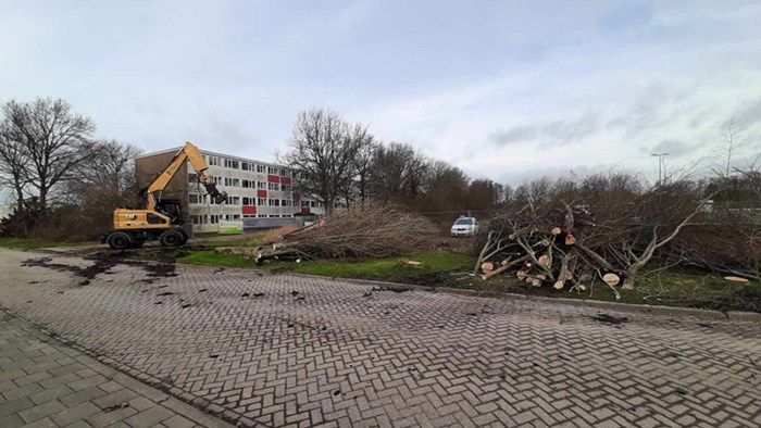 Pelmolenpad verwijderen bomen B