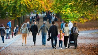 Mensen wandelen in het bos 2