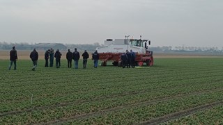 Laserweeder bij Boltha in actie