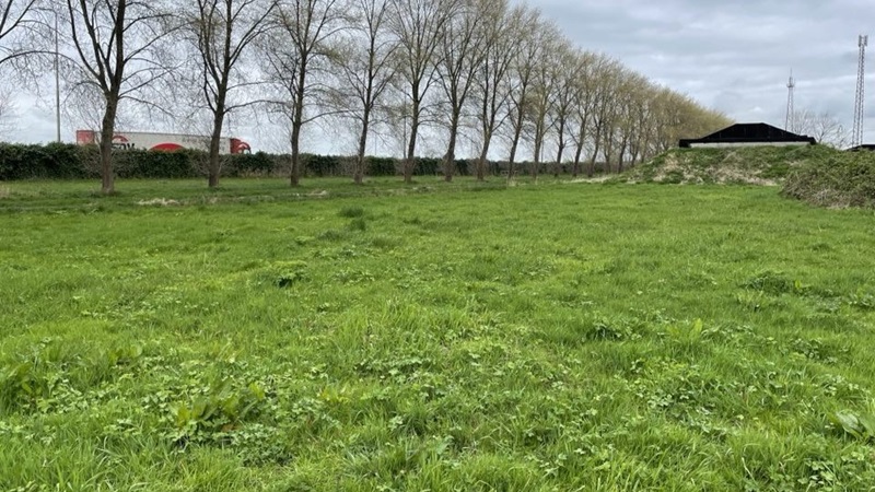 Raadscommissie spreekt over beleid voor psychisch kwetsbare inwoners en prikkelarme woonlocatie