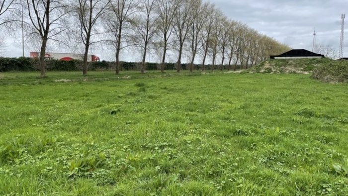 Leekerpad - Stijgbeugel stukje groen