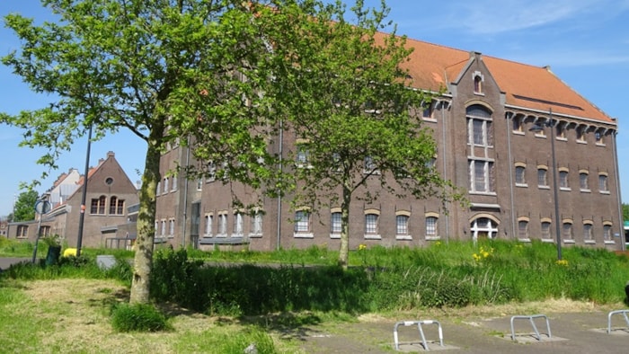 Zomerwandeling Oud-Hoorn - Oostereiland