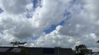 Helikopters boven Hoorn