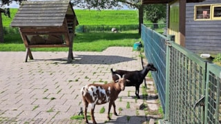 De Waalrakkers kinderboerdrij