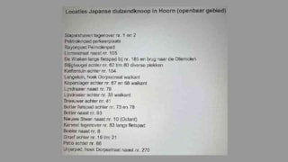 Locaties Japanse duizendknoop