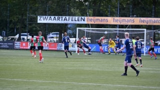 De Zuidvogels - Hollandia 28 september 2024